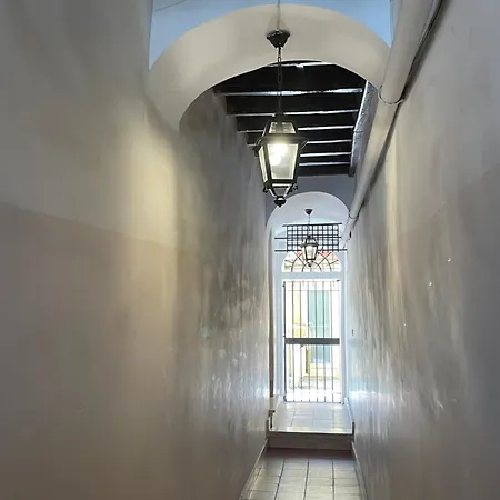 Casa Lovera In Vaticano - Elegant Charming Historic Daire Roma